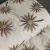 طرح دار